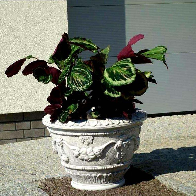 Pflanzenschale Druzjanna