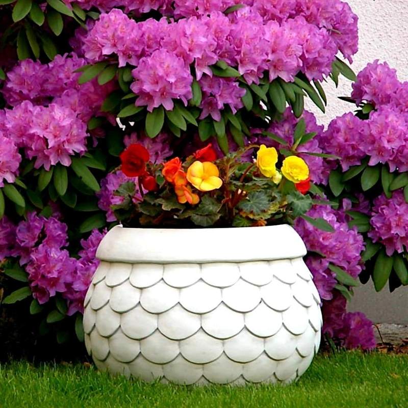 Pflanzenschale Kleine Schalen