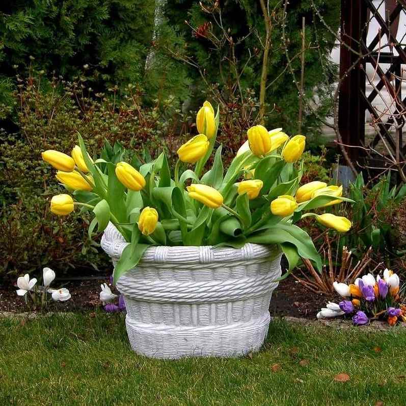 Pflanzenschale Korb geflochten hoch groß