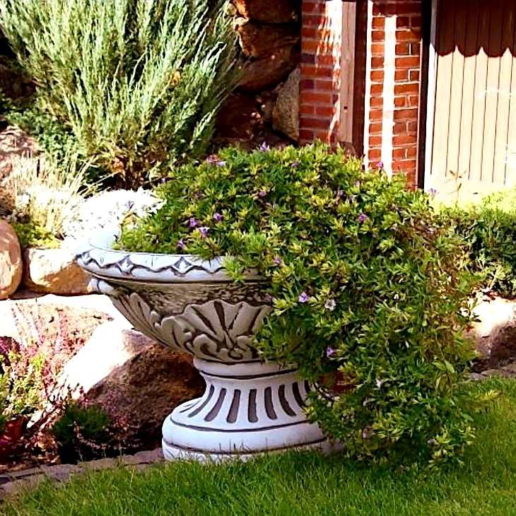 Pflanzenschale Ovale Große