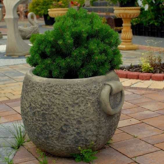 Pflanzenschale Pietra