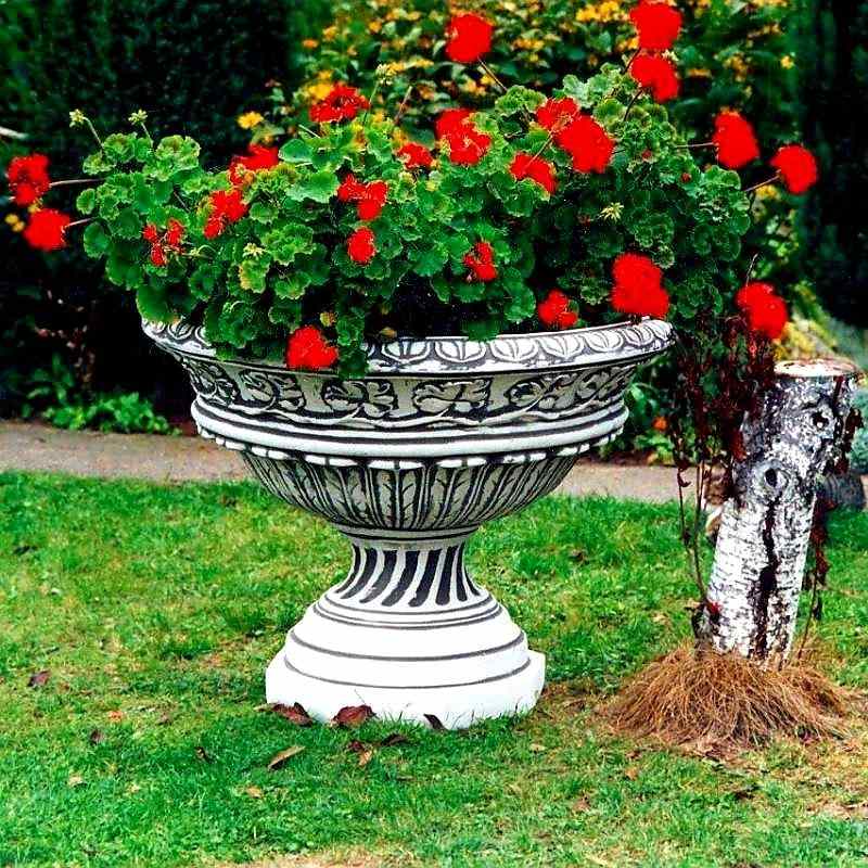 Pflanzenschale Riesig