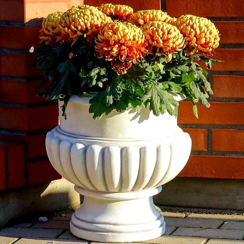 Pflanzenschale Vase Bananenform mit glattem Streifen