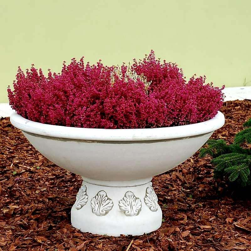 Pflanzenschale Vase Ornament Groß