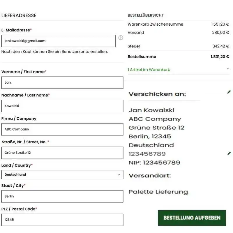 Schritt 2 – Zahlung und Lieferdaten